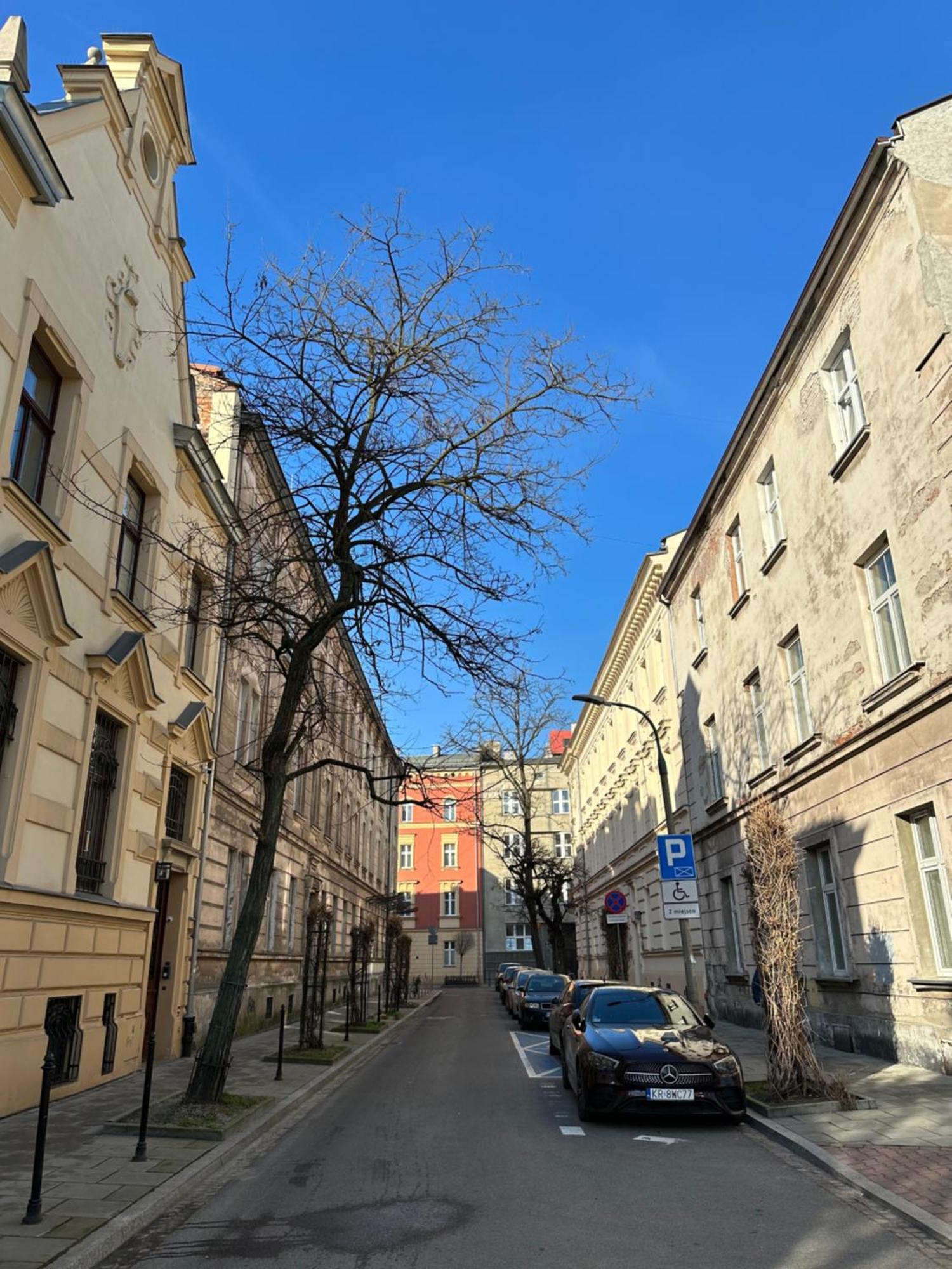 Perfect Place To Stay In Krakow City Center 40M2 W4 Екстериор снимка